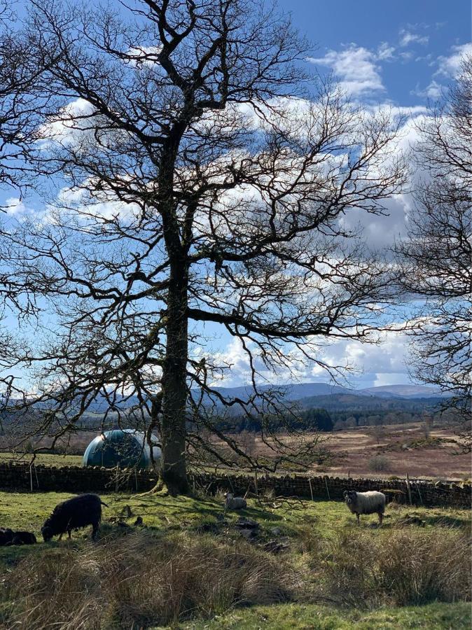 Отель Cardross Estate Glamping Pods Стерлинг Экстерьер фото