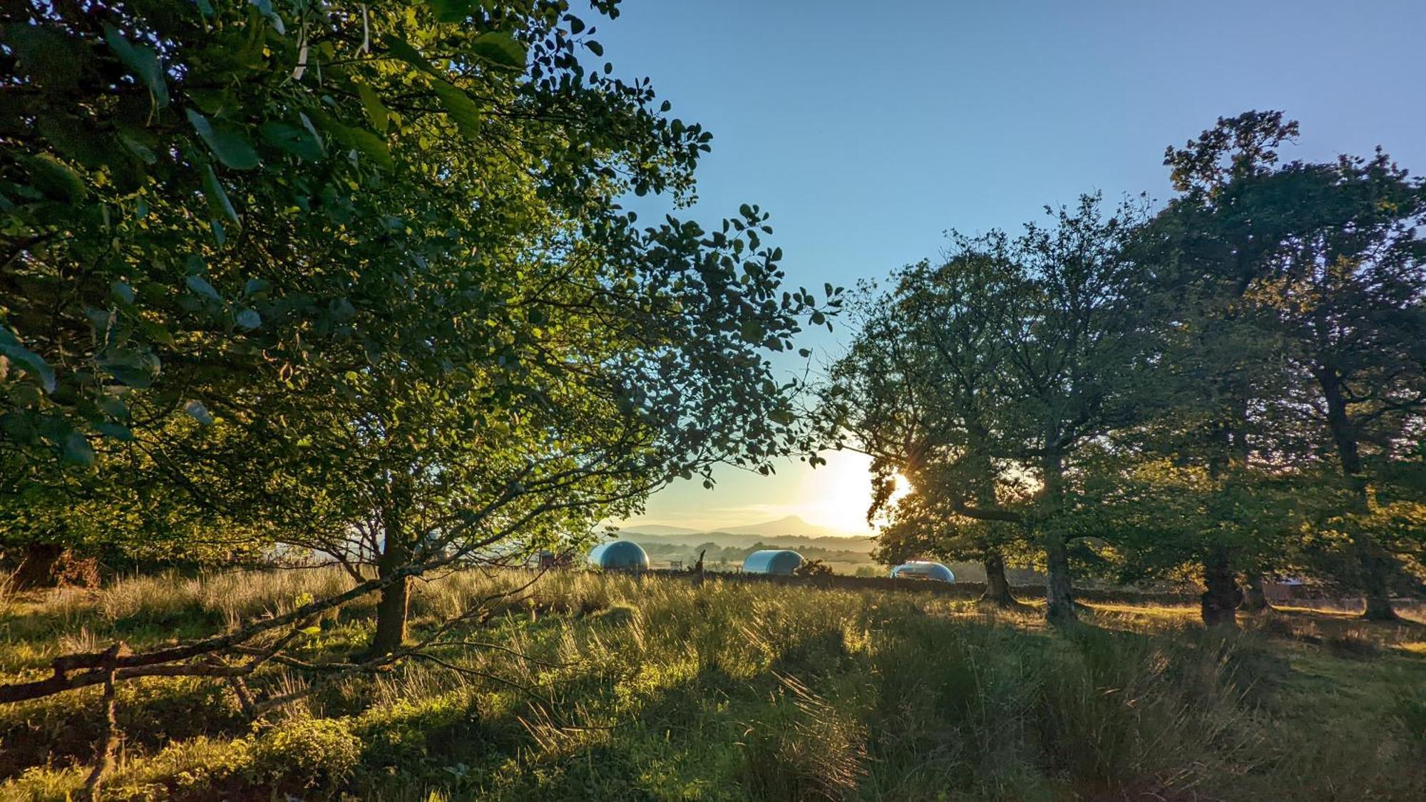 Отель Cardross Estate Glamping Pods Стерлинг Экстерьер фото